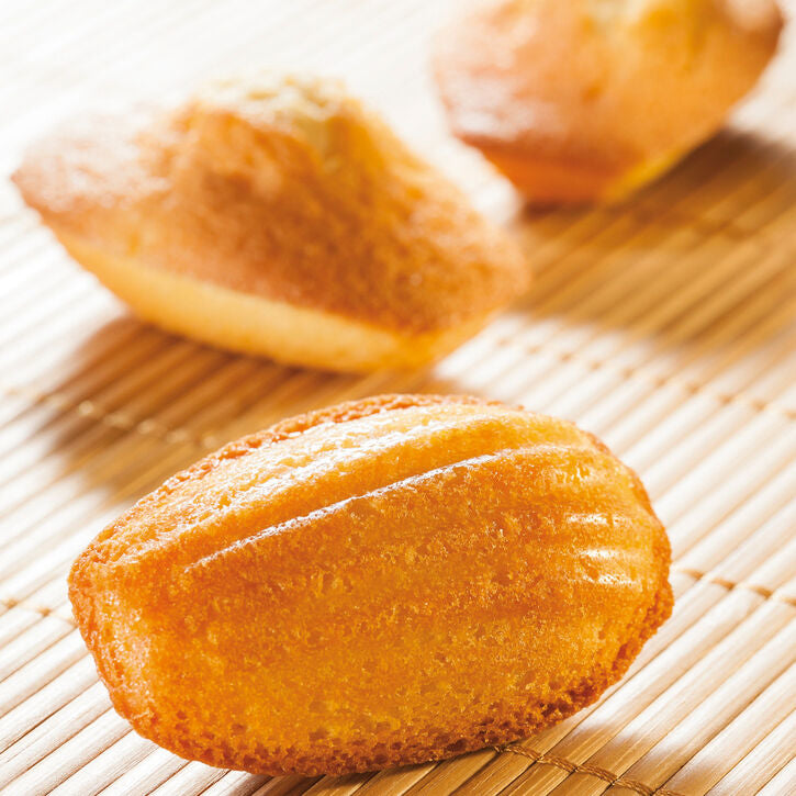 FLEXIPAN 60X40 PLAQUE DE 40 MADELEINES 7.8X4.7 CM