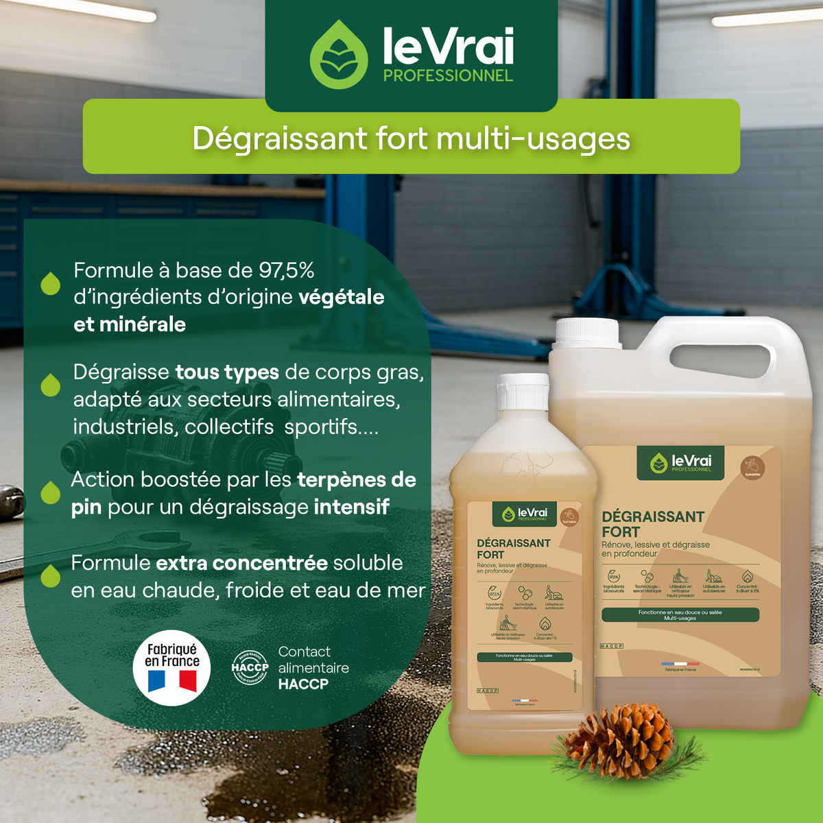 DEGRAISSANT FORT ALCALIN MULTI USAGES 1L