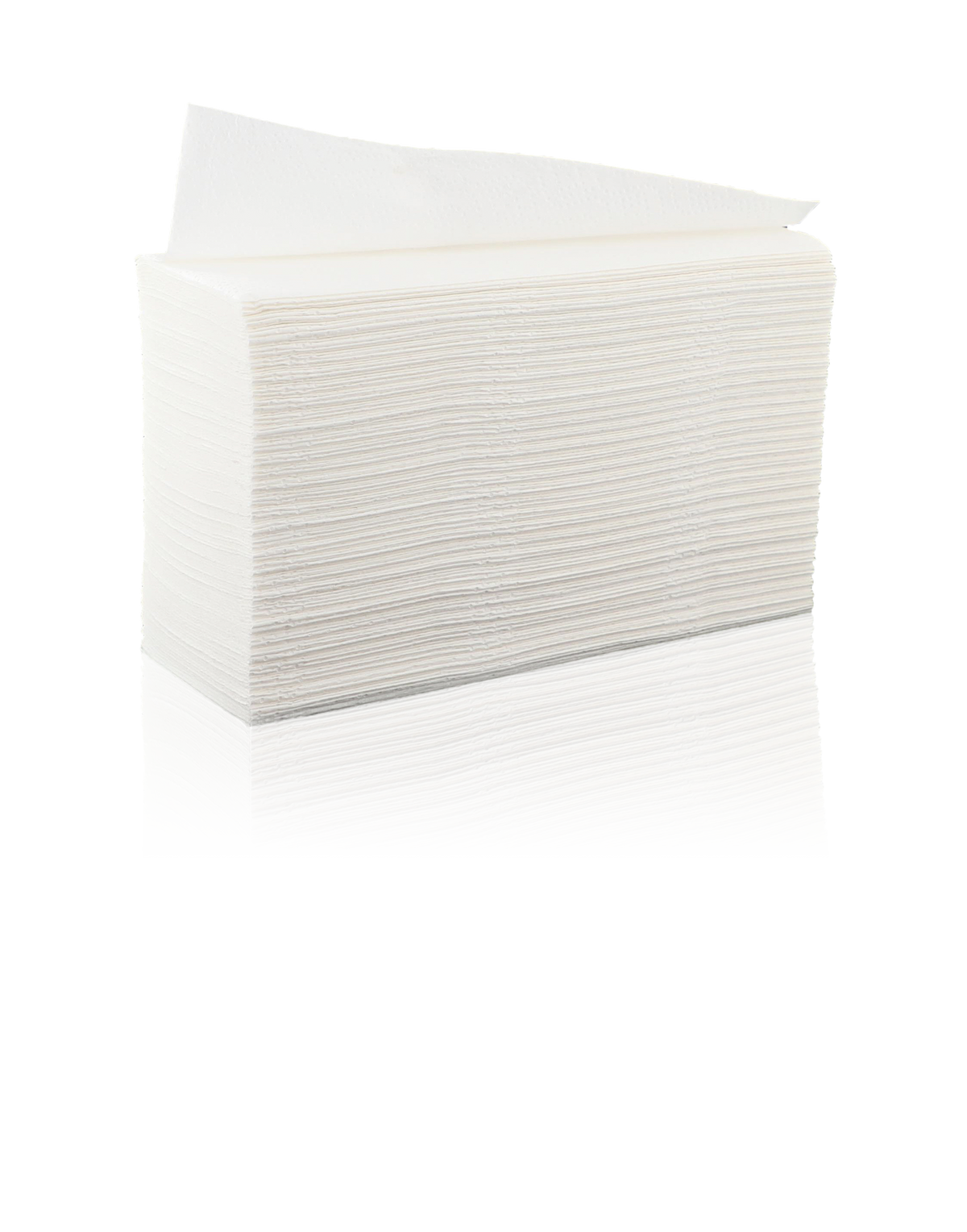 ESSUIE-MAINS PLIÉS EN Z TECHLINE BLANC 20X24CM 200 FORMATS 2 PLIS ECOLABEL X15