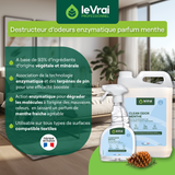 NETTOYANT DESTRUCTEUR D'ODEUR CLEAN ODOR MENTHE LE VRAI PROFESSIONNEL 750ML