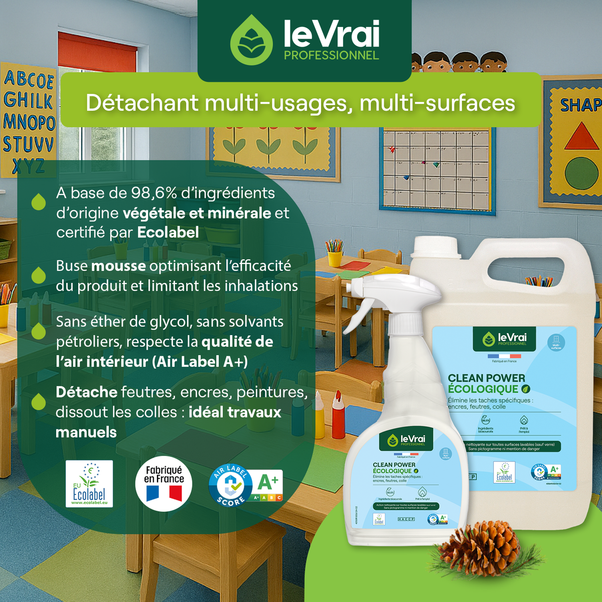 DETACHANT MULTI SURFACES CLEAN POWER ECOLABEL LE VRAI PROFESSIONNEL750ML