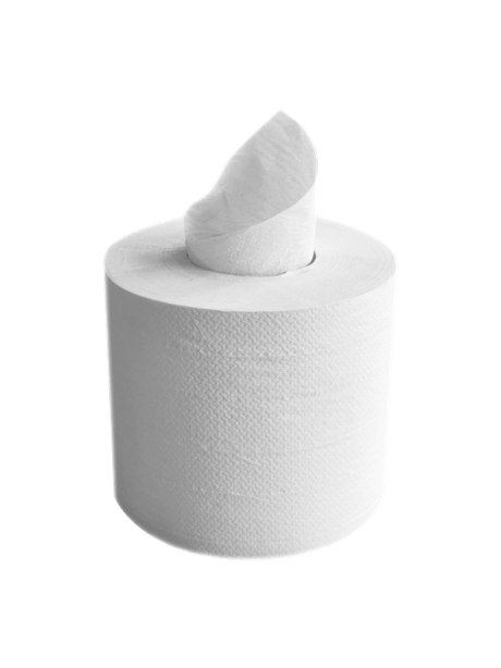 BOBINE DEVIDAGE CENTRAL BLANC 426 FORMATS 2 PLIS 19,5X30,5CM ECOLABEL X6
